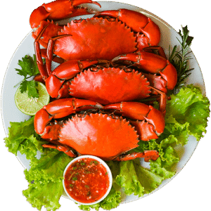 Fresh Crab Plate