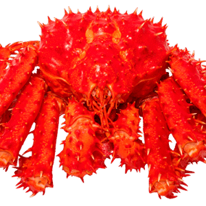 Red Alaskan King Sea Crab