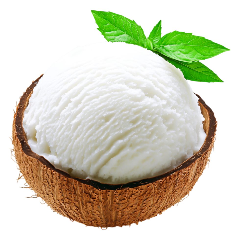 Coconut